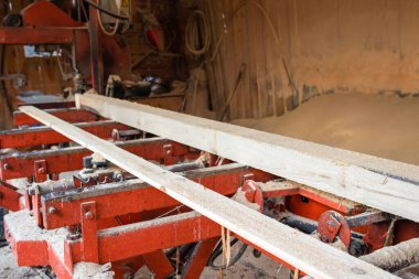 Bıçkıhanede işlenmiş çam ağacı tahtaları. Kereste endüstrisi.