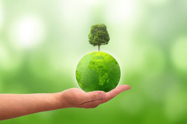 Küre ve yeşil arka planda büyüyen bir ağaç. Çevrenin korunması. Ekolojik kavram.