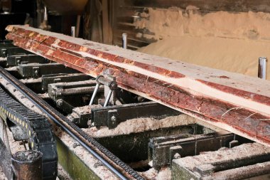 Eski bir kereste fabrikasında çam ağacı işleme süreci. Kereste endüstrisi