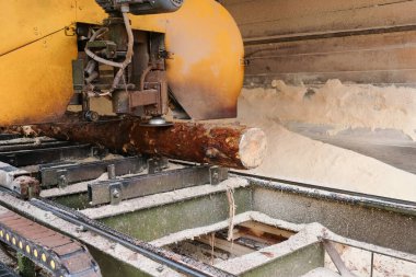 Bıçkıhanede ahşap işleme işlemi. Kereste endüstrisi.