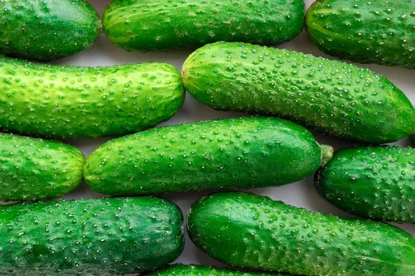 Зелені Огірки Супермаркеті Крупним Планом Органічна Їжа Сільське Господарство Фермери — стокове фото