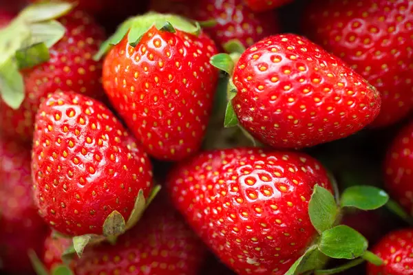 Stock image Strawberry background. Fresh ripe strawberries close up. Fruit background, organic berries. Top view