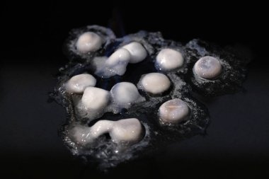 Siyah arka planda haplar. Uyuşturucu yakma..