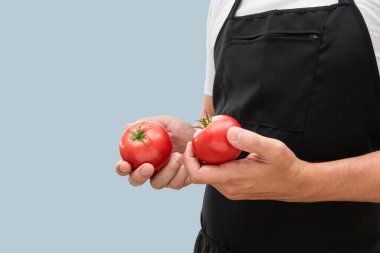 Mavi arka planda kırmızı domatesli önlüklü bir şef. Domates sebzeli adam..