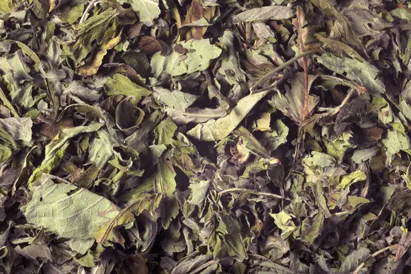 Фон Сухого Черного Неотжатого Чая Ароматами — стоковое фото