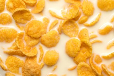 Mısır gevreğinin arkaplan ve dokusunu sütle. Sabah kahvaltısı.