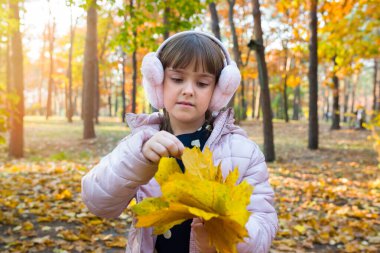 Sonbaharda güneşli bir parkta elinde bir buket akçaağaç yaprağı olan küçük bir kız. Mutlu çocukluk yaşam tarzı konsepti.