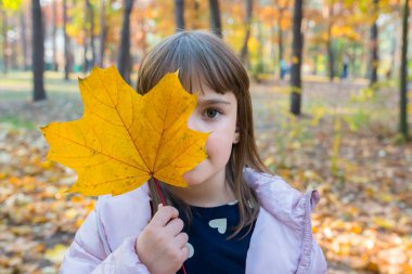 Bir sonbahar parkında elinde akçaağaç yaprağı olan küçük bir kızın açık hava portresi. Mutlu çocukluk kavramı.