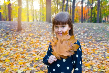 Sonbaharda güneşli bir parkta elinde bir buket akçaağaç yaprağı olan küçük bir kız. Mutlu çocukluk kavramı.