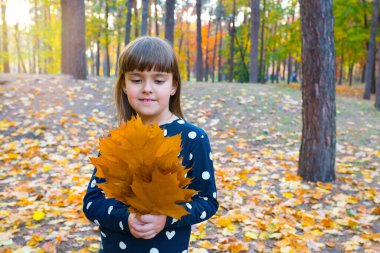 Güneşli bir sonbahar parkında elinde bir buket akçaağaç yaprağı olan bir çocuğun açık hava portresi. Mutlu çocukluk kavramı.