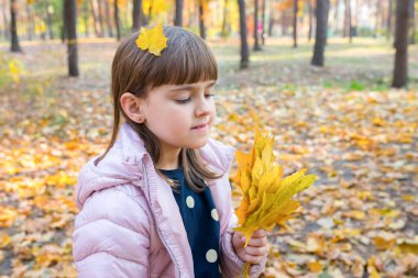 Sarı akçaağaç yapraklı bir kızın güneşli bir şehir parkında sonbahar portresi. Altın saat.
