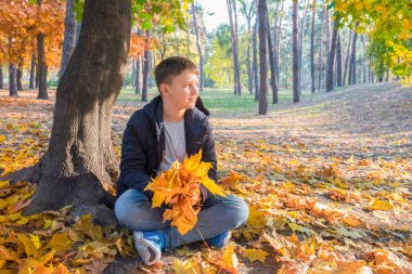 Sarı akçaağaç yapraklı çocuk güneşli bir günde sonbahar parkında, altın saatinde park ediyor..