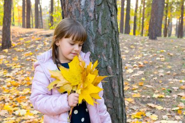 Sarı akçaağaç yapraklı bir kızın sonbahar portresi, altın saatinde park arka planı, kalın ceketli bir çocuk..