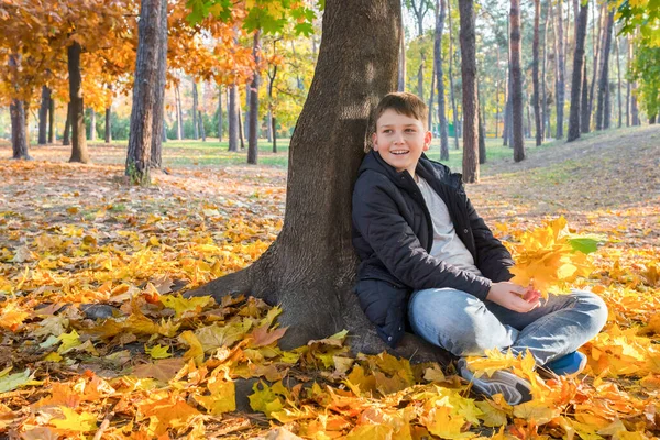 Happy child with yellow autumn leaves plays in a city park on a sunny warm day.