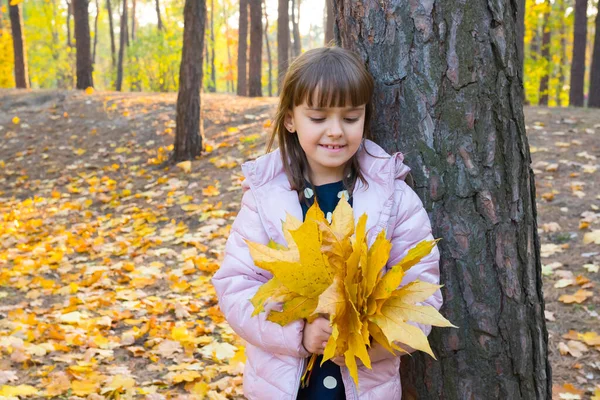 Sarı akçaağaç yapraklı bir kızın sonbahar portresi, altın saatinde park arka planı..