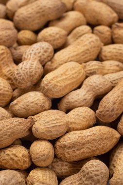 Kabuklu kavrulmuş fıstık. Fıstıkların yemek arkaplanı.