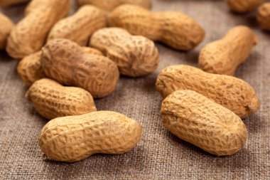 Çuval bezinde çiğ fıstık. Fıstıkların yemek arkaplanı.