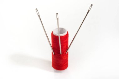 Bahçedeki bir masada armut meyvesi.