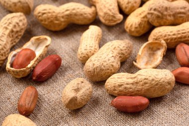 Bir grup kabuklu ve kabuksuz fıstık, yakın plan. Fıstık.