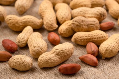 Çuval bezinde kabuklu fıstık, yakın plan..