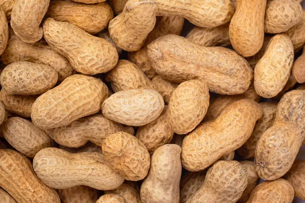 Yakın plan organik fıstık yığını. Fıstık yemeği geçmişi. Üst görünüm