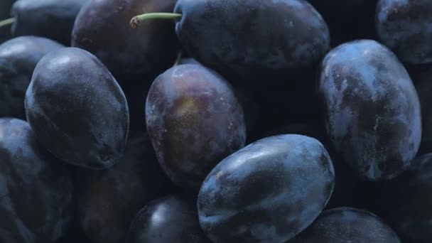 Fresh Plums Close Rotation Drains Healthy Eating Concept — Stock Video
