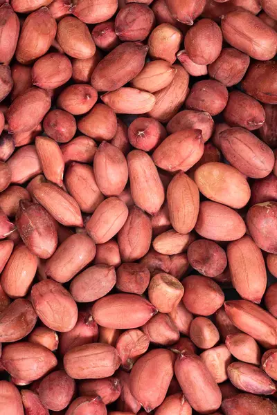 Latar Belakang Kacang Mentah Yang Belum Dikupas Kacang Kacangan Latar Stok Foto Bebas Royalti