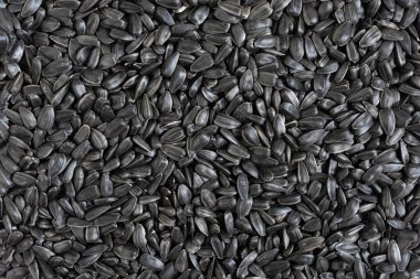 Ayçekirdeği arka planı, kavrulmuş tohumların yakın çekimi. Ayçekirdeğini arkaplan olarak kapat, üst görünüm.