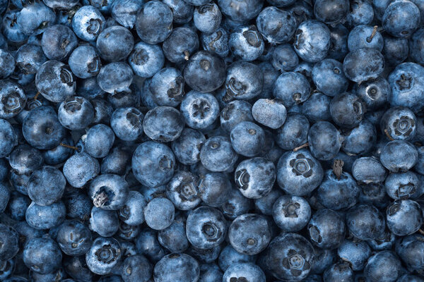 Fresh blueberries as a background, top view. Texture of blueberry berries close-up.