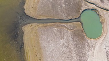 Kuraklık, çölleşme, kuru göller, kuşlar, bitkiler