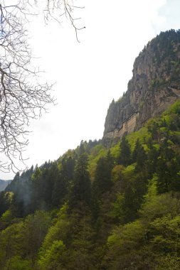 Ormandaki Sumela Manastırı, Trabzon, Türkiye