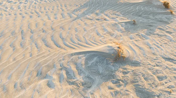 Wüstenbildung Aufgrund Von Dürre Und Übermäßigem Wasserverbrauch — Stockfoto