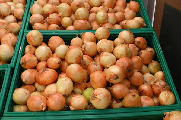 Cebollas Secas Mercado — Foto de Stock