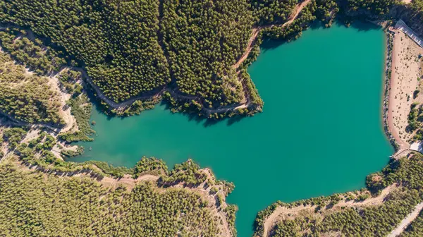 Floresta Lagoa Doyran Antalya — Fotografia de Stock