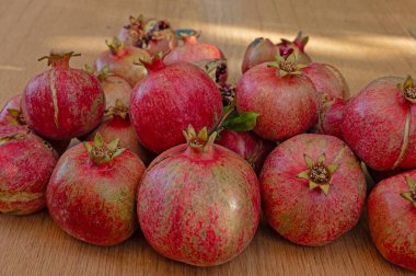 Narlar sonbaharda toplanır..