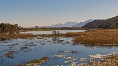 Baraj gölündeki balık kafeslerinin havadan görünüşü. Golhisar, Burdur, Türkiye.