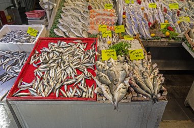 Balık tezgahında balık. Balık pazarı