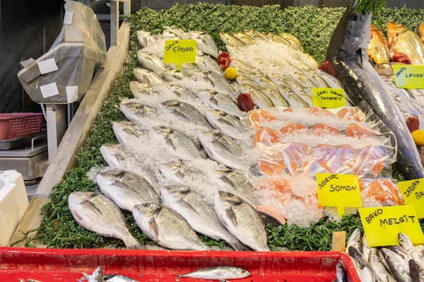 Balık tezgahında balık. Balık pazarı