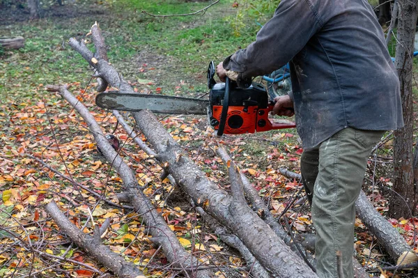 A man cutting a tree with a chainsaw.