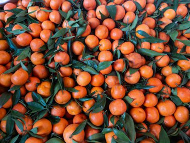 Çiftçi pazarındaki tezgahta mandalinalar..