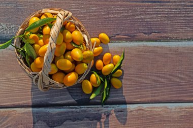 Tahta zemindeki ağaçtan toplanmış sepetteki taze kumkatlar..