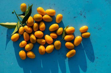 Mavi arka planda ağaçtan toplanmış taze kumkatlar..