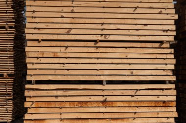 Tahta yığınları, kereste fabrikasında döşeme. Bir kereste fabrikasında kereste kesmek için depo. Bir yığın boş tahta, inşaat malzemesi ahşap kereste. Sanayi.