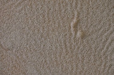 Hamur yapmak için suya maya taneleri döküldü..