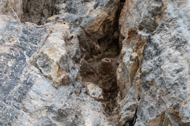 Kayalıklardaki kuş yuvası. Batı Rock Nuthatch yuvası.