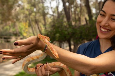 Kadının elinde kırmızı mısır yılanı. Pantherophis guttatus.