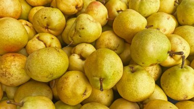 Piyasadaki tatlı, organik armutlar.