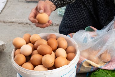 Organik köy yumurtaları pazarda satılıyor..
