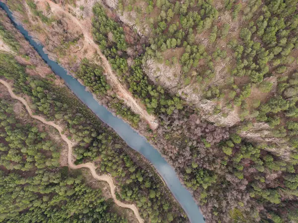 Vadinin ortasından geçen bir nehrin havadan görünüşü, ormanla çevrili..
