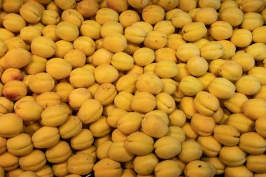 Markette kayısılar.